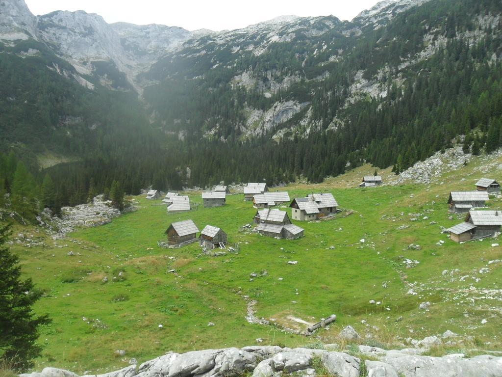 Farmhouse Pri Miklavu Bohinj Exterior foto