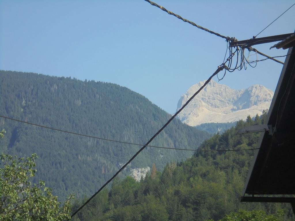 Farmhouse Pri Miklavu Bohinj Exterior foto