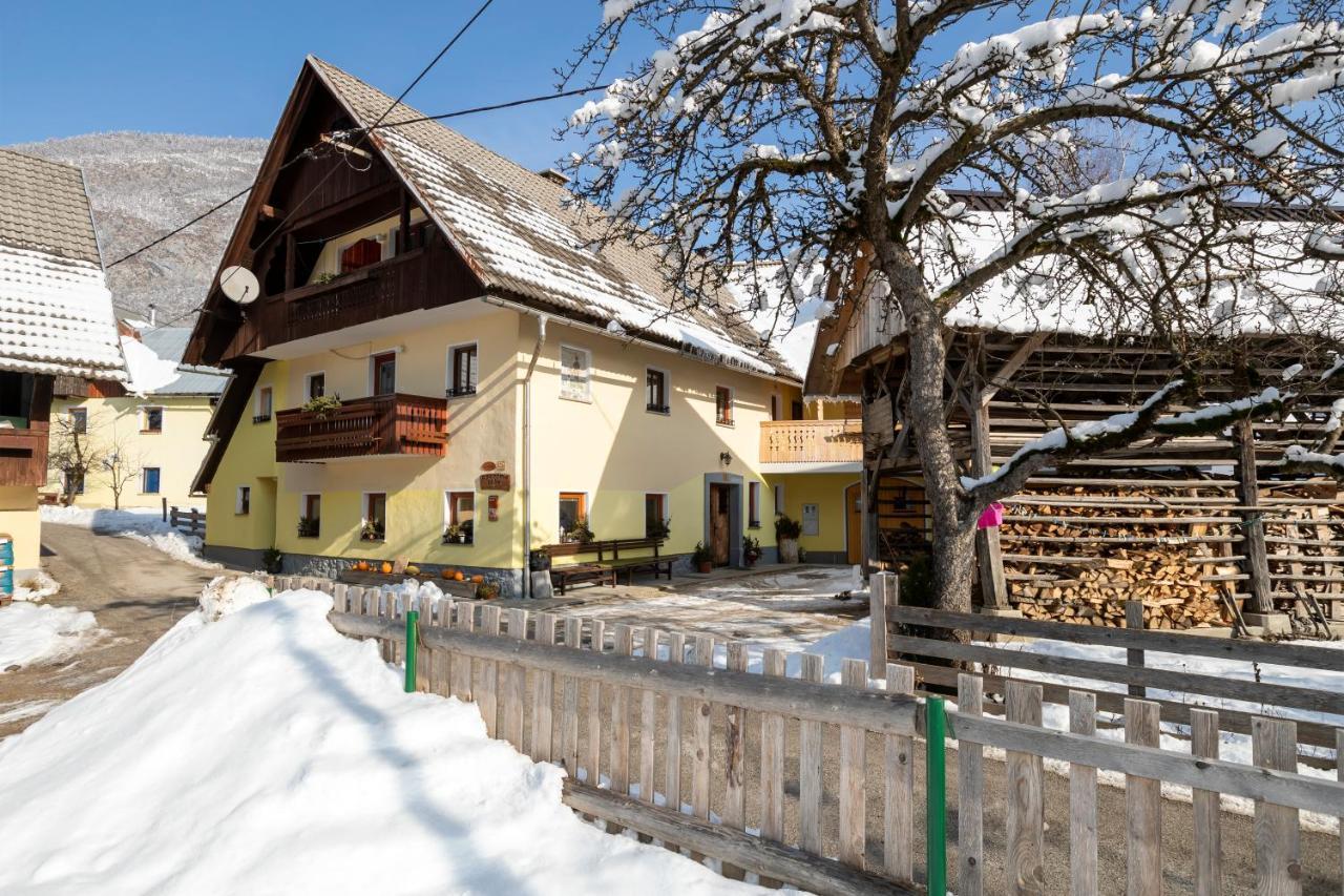 Farmhouse Pri Miklavu Bohinj Exterior foto